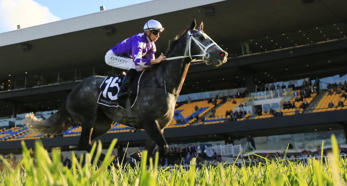 TRIUMPH: Asterius, ridden by Jason Collett, salutes at Rosehill Gardens in June. Picture: Mark Evans/Getty Images