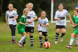 Illawarra girls and boys aged between six and 12 are invited to take part in a free holiday clinic at Ian McLennan Park early next year. Picture by Wesley Lonergan