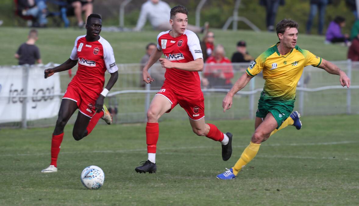 THRIVING: Wollongong Wolves young gun Liam Wille is enjoying the chance to get more game time in 2020. Picture: Robert Peet