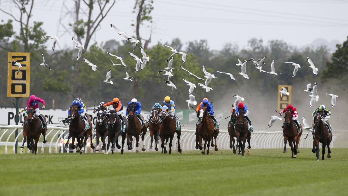 Action from race seven, the $1 million The Gong race at Kembla Grange on Saturday. Picture: Anna Warr