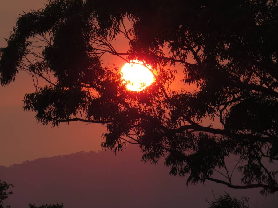 Scorcher: Bushfire sunset by helen Fletcher. Send us your photos to letters@illawarramercury.com.au or post to our Facebook page.