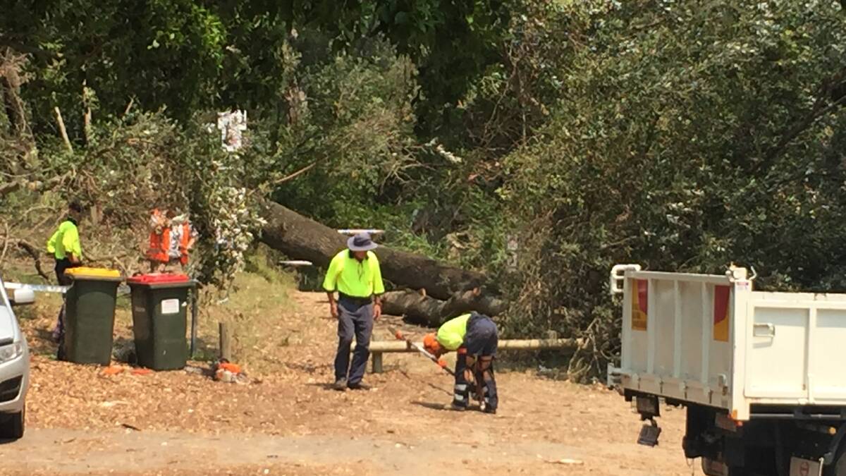 The woman was walking up a path after having a surf when the tree fell on her. Picture: Robert Peet
