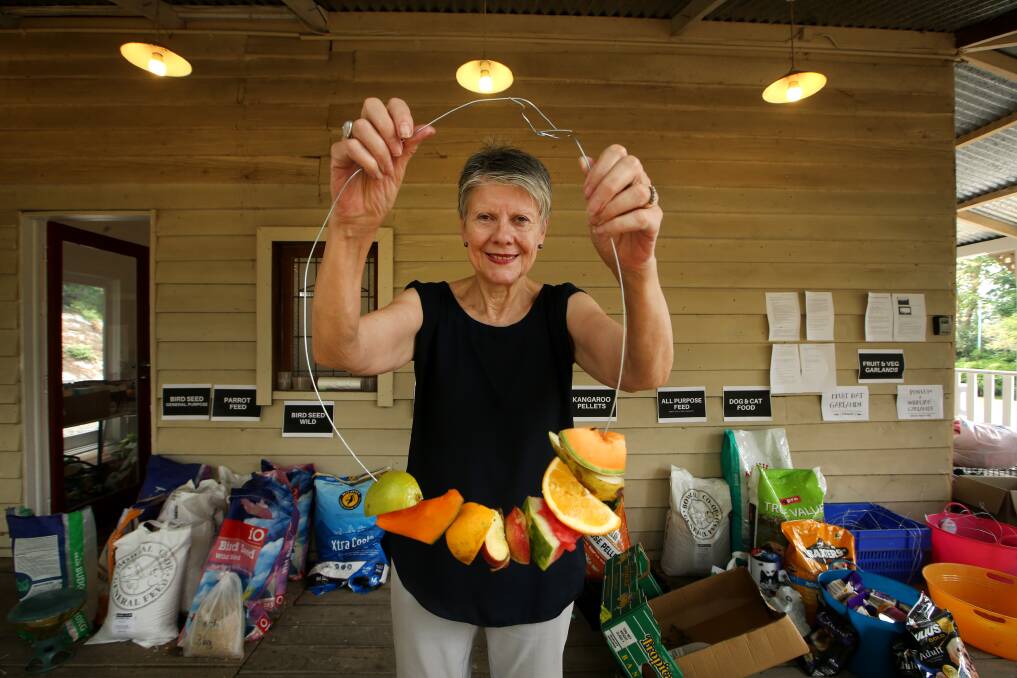 Kangaroo Valley Wildlife Initiative volunteer Anne Walder with a fruit garland that local children made. The garland will be hung on trees to feed birds, possums and lizards affected by fire. Picture: Sylvia Liber 