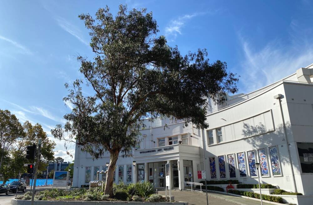 Wollongong City Council will remove the remaining Blue Gum tree outside the Wollongong Art Gallery as it is unhealthy. Picture: Wollongong City Council