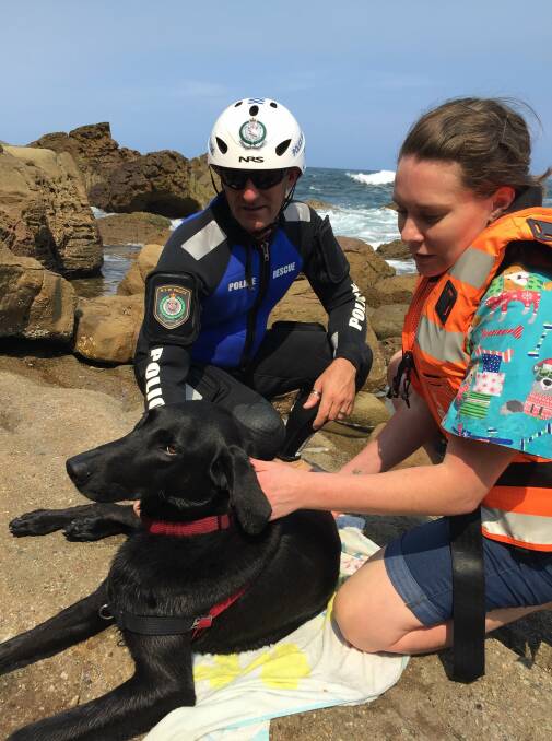 Remi the Labrador-cross was rescued by police and assessed by vet Jenna O'Brien after falling off a cliff. Picture: Illawarra Rescue Squad Facebook page
