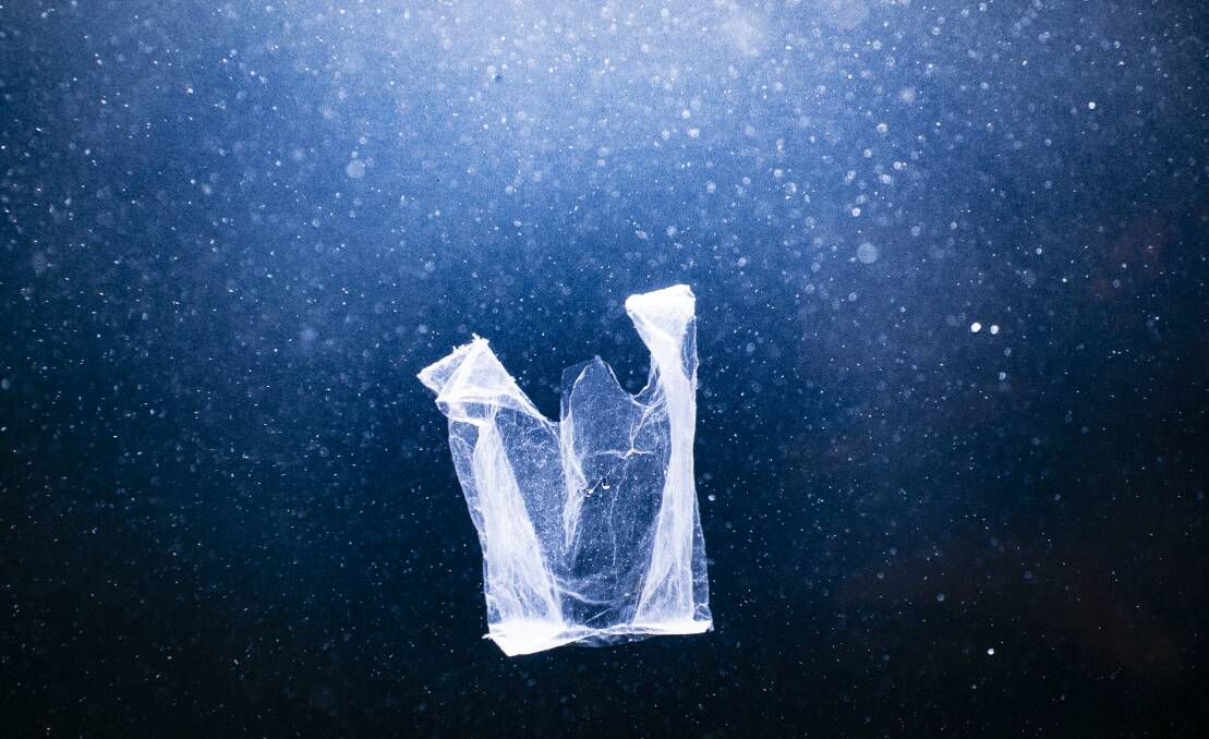 Aristo Risi's photos were featured in the Ocean Space Collective's Plastic Life exhibition. Picture: Paul Jones