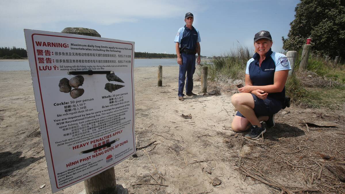 Ensuring compliance: Fisheries officers Gavin McDonall and Emma Corfield are cracking down on people who collect more than 50 cockles each at Lake Illawarra. Picture: Robert Peet