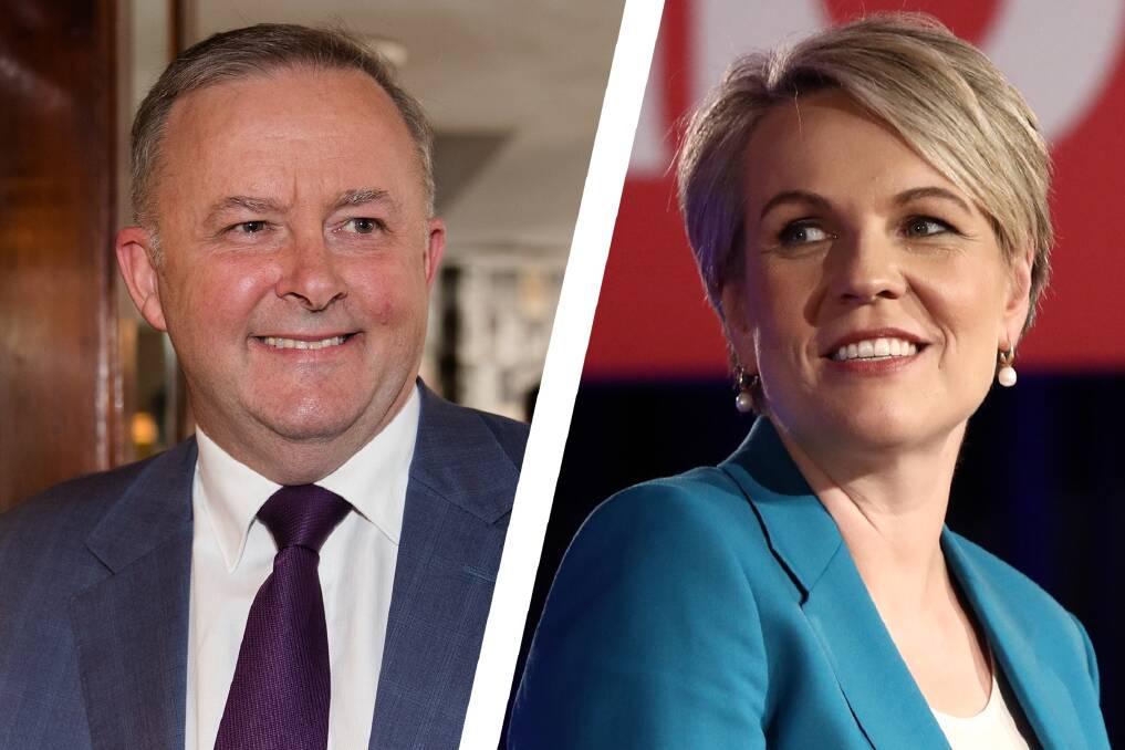 Anthony Albanese has announced his candidacy for the Labor leadership. Deputy leader Tanya Plibersek said she will consider contesting the role. Photos: Edwina Pickles/Dominic Lorrimer