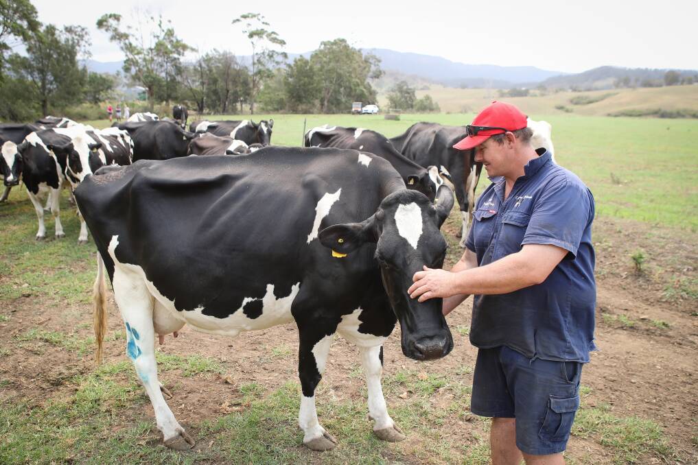 The Finch family, including Kelly Owen and brother Michael, have been farming in Albion Park for 40 years. But now they are saying goodbye to their milk production business. Pictures: Adam McLean