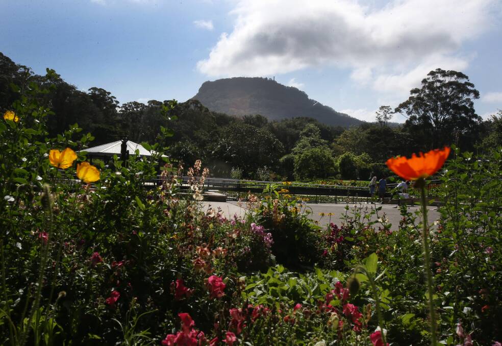 Wollongong councillors want to hear feedback from the community about the plans for the Mount Keira Summit Park. Picture: Robert Peet