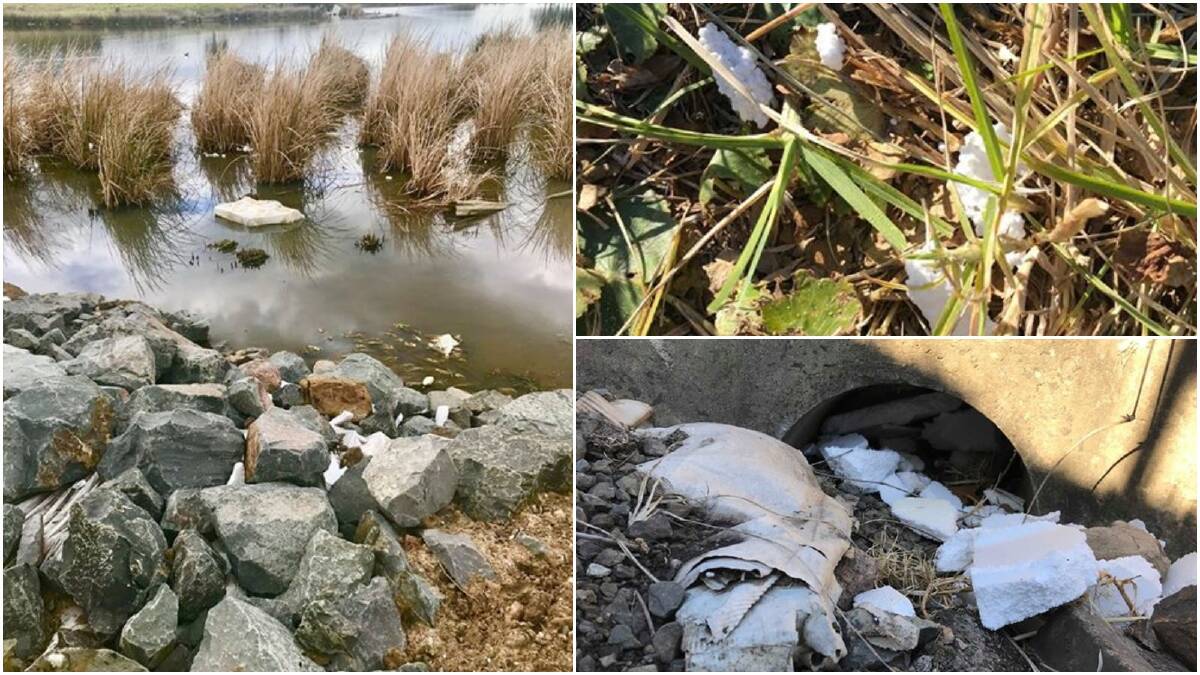 Thousands of pieces of polystyrene pods remain on public land in West Dapto. Nicole Colquhoun is calling on the council to continue to clean up the debris. Pictures: Nicole Colquhoun