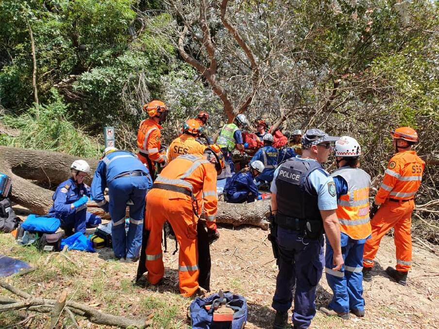 Emergency service personnel treated a woman after a tree fell on her. Picture: NSW SES Kiama
