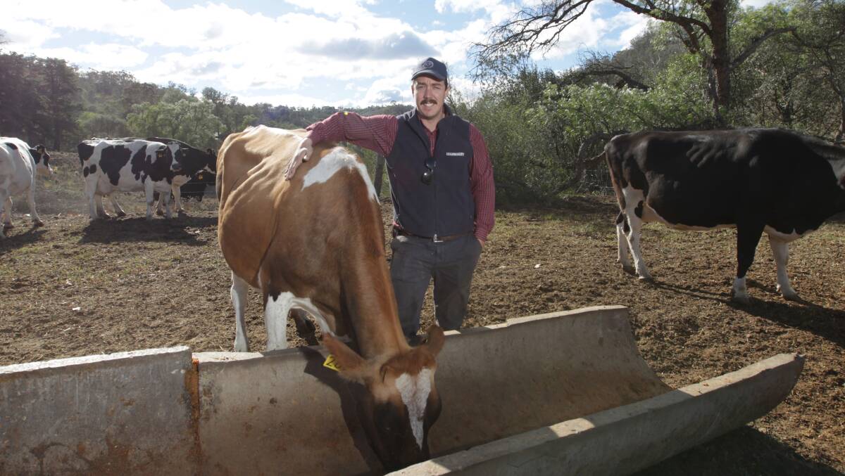John and Tom Fairley are grateful to the generous people who have adopted a cow. Pictures: Simon Bennett