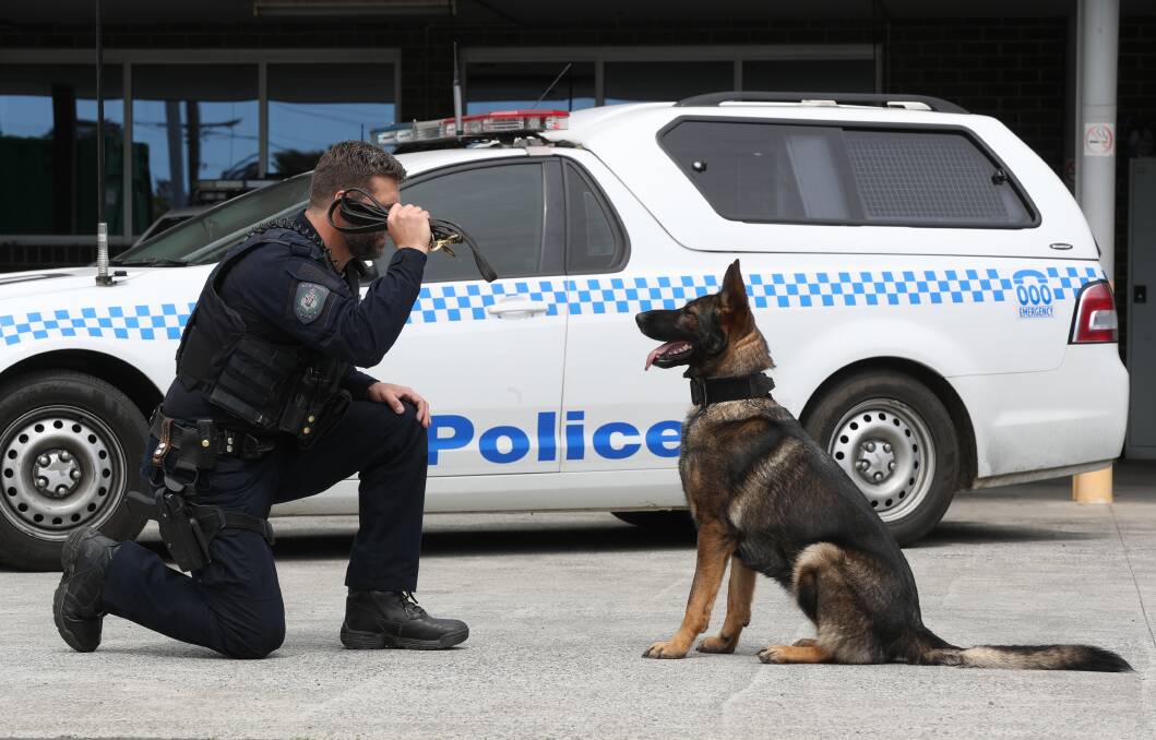Bond: Grace, the newest member of the Illawarra and South Coast dog unit, loves and respects her handler Sgt Justin Holl. Picture: Robert Peet