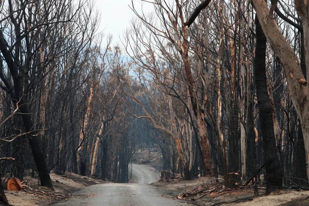 The Currowan fire swept through the western side of the Kangaroo Valley village. Picture: Sylvia Liber