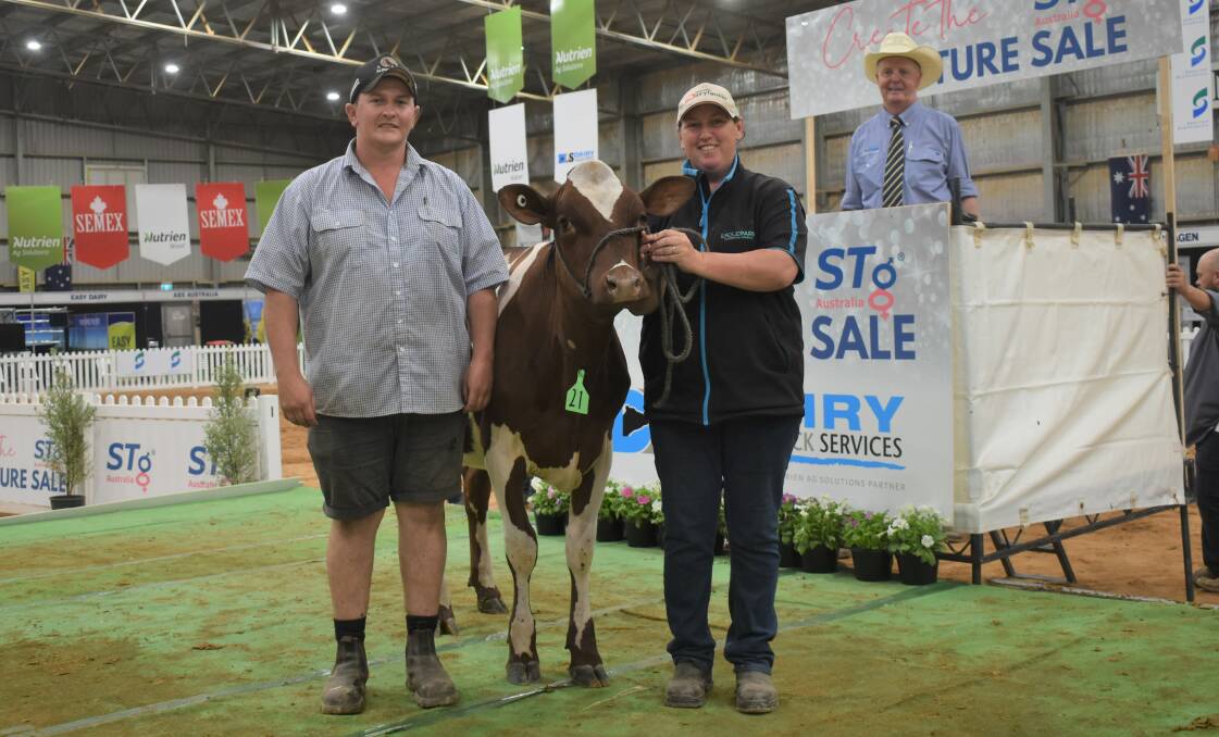 Steven Dobson and Natalie Shierlaw, Jamberoo, NSW, and Dairy Livestock Services auctioneer, Brian Leslie, with the $21,000 record-priced Illawarra heifer at the STG Australia all-breeds sale. Picture by Alastair Dowie