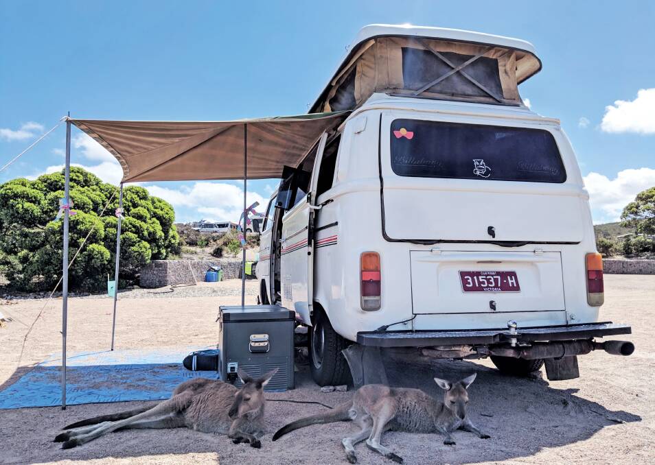 Catch up with some friendly locals at Lucky Bay, Western Australia. Pictures: Penny Watson