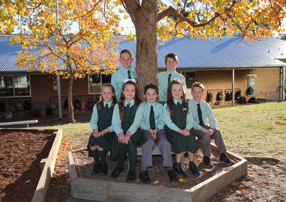 A bright future: Figtree Heights Public School is a small public school dedicated to making a big difference to the future of students.