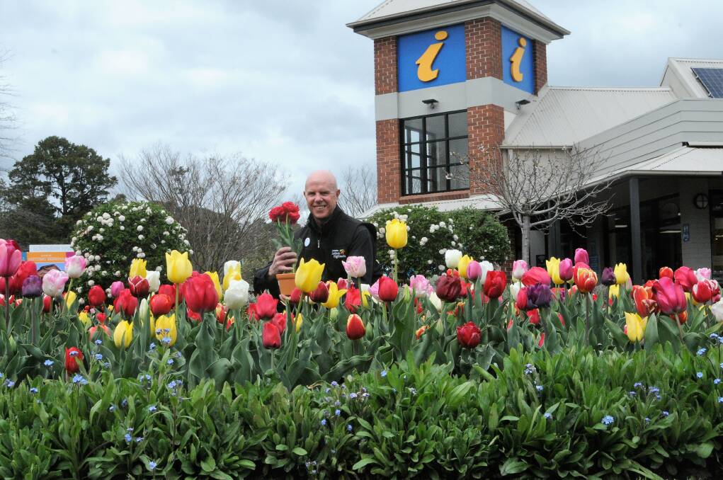 Steve Rosa has encouraged Highlanders to vote for The Big Tulip. Photo: Lauren Strode