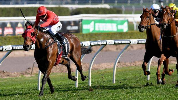 Red-letter day: Kerrin McEvoy rides Redzel to victory in the Concorde Stakes. Photo: AAP