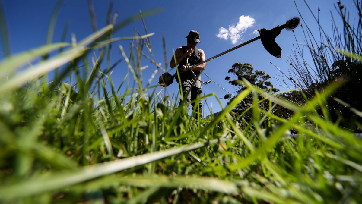 LONG GRASS ALERT: Council offers advice for frustrated sports clubs keen to mow their grounds. Photo: Adam McLean