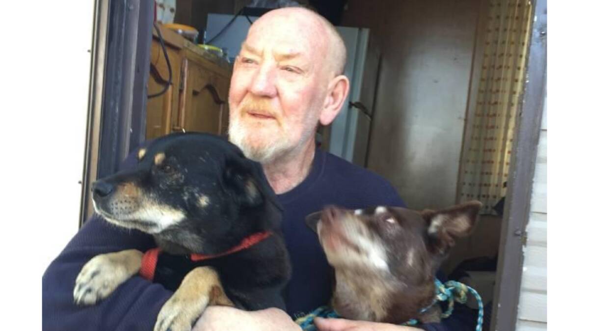 Michael Dadd who survived four days on a flooded island in the Shoalhaven River reunited with two of his beloved dogs Ned and Odon.
