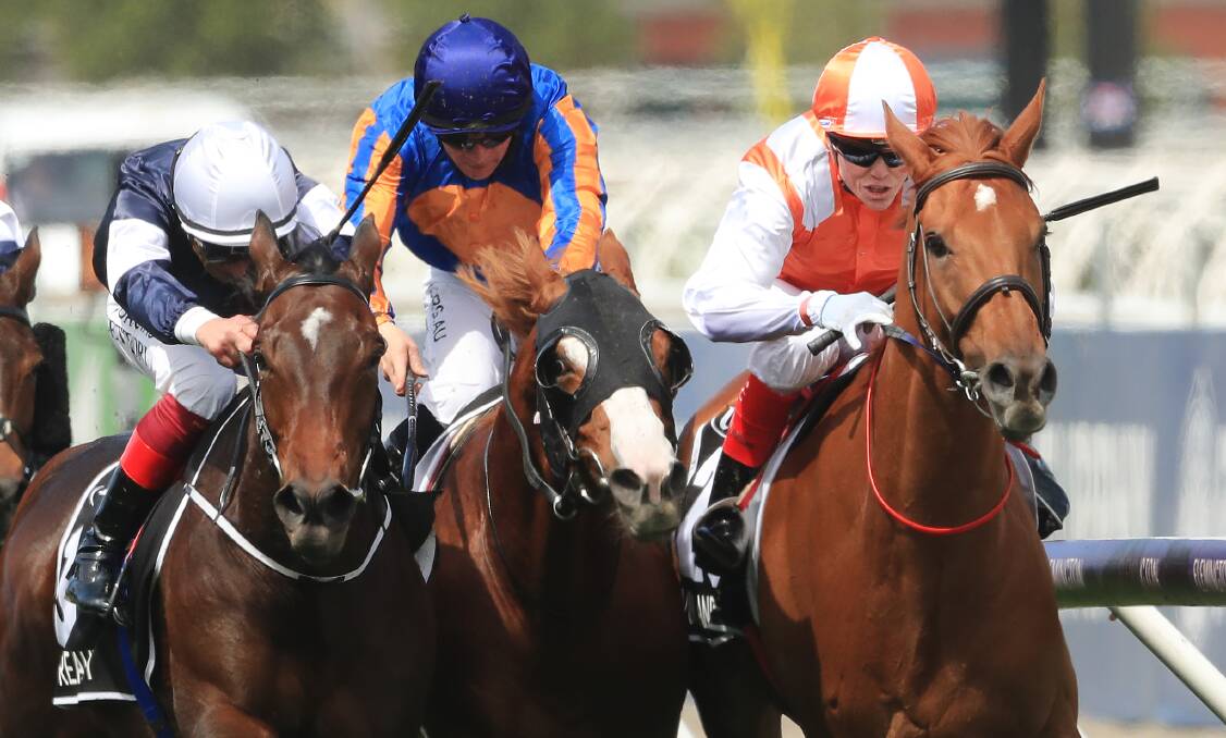 Hero: Craig WIlliams (right) rides Vow and Declare to a Melbourne Cup victory. Picture: Getty Images.