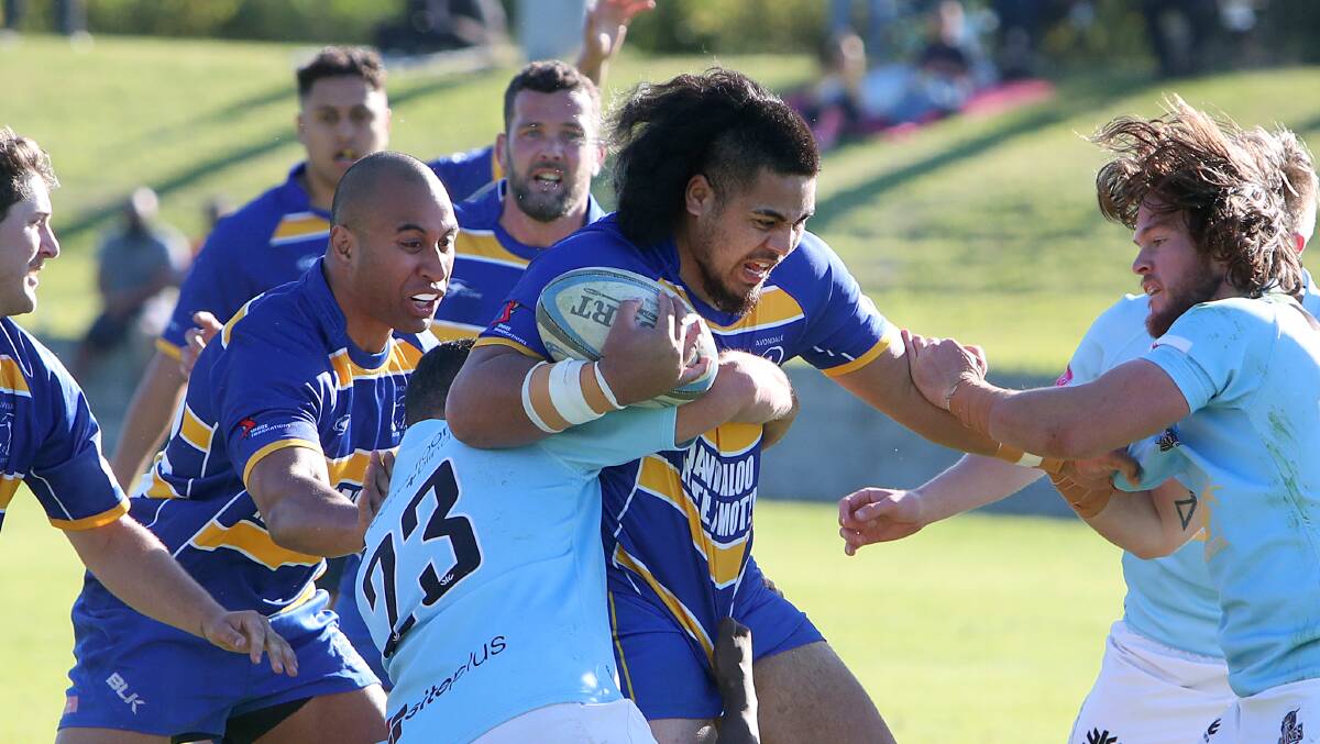 Lengthy suspension: Avondale's Willy Taiti-Taanoa has been banned for 16 weeks by the Illawarra Rugby judiciary. Picture: Sylvia Liber
