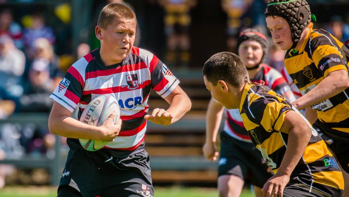 On the improve: Tech Tahs juniors showed steady growth throughout 2019. Picture: Illawarra Junior Rugby Union.