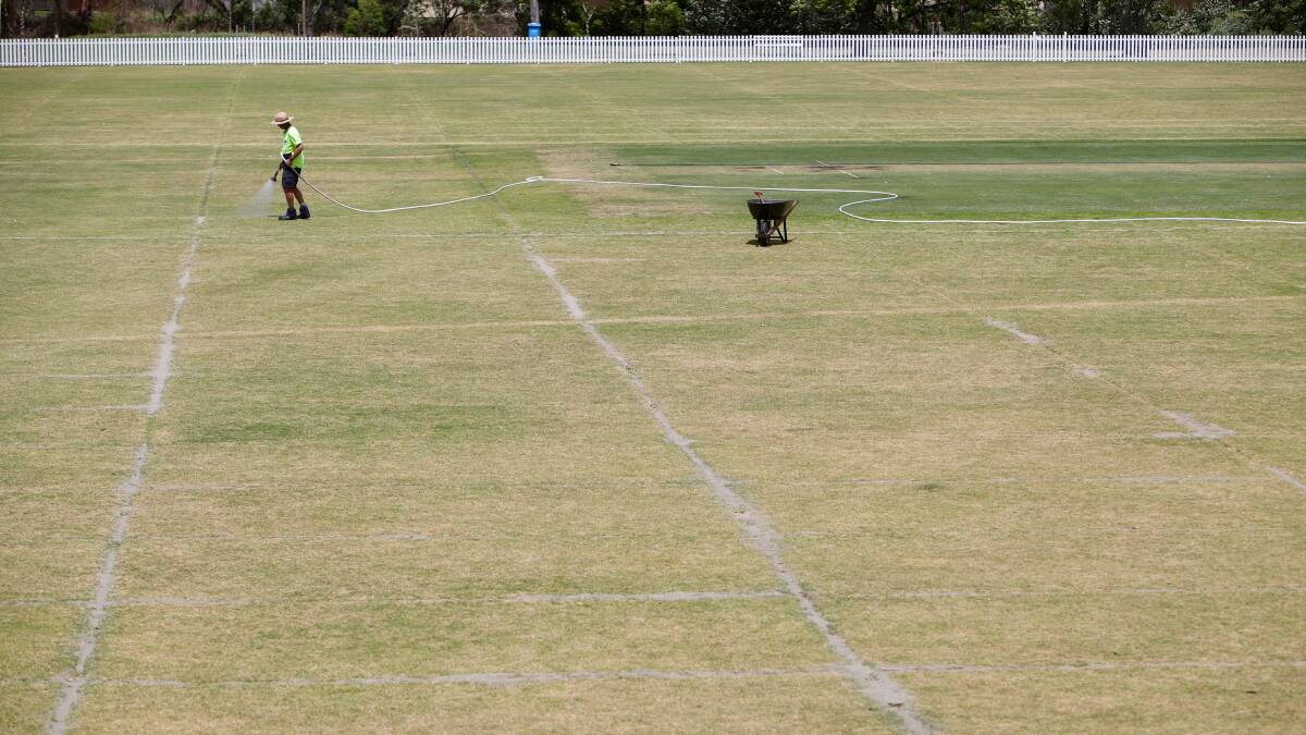 Deteriorating surface: A Wollongong Council worker waters Figtree Oval on Monday. Picture: Adam McLean. 