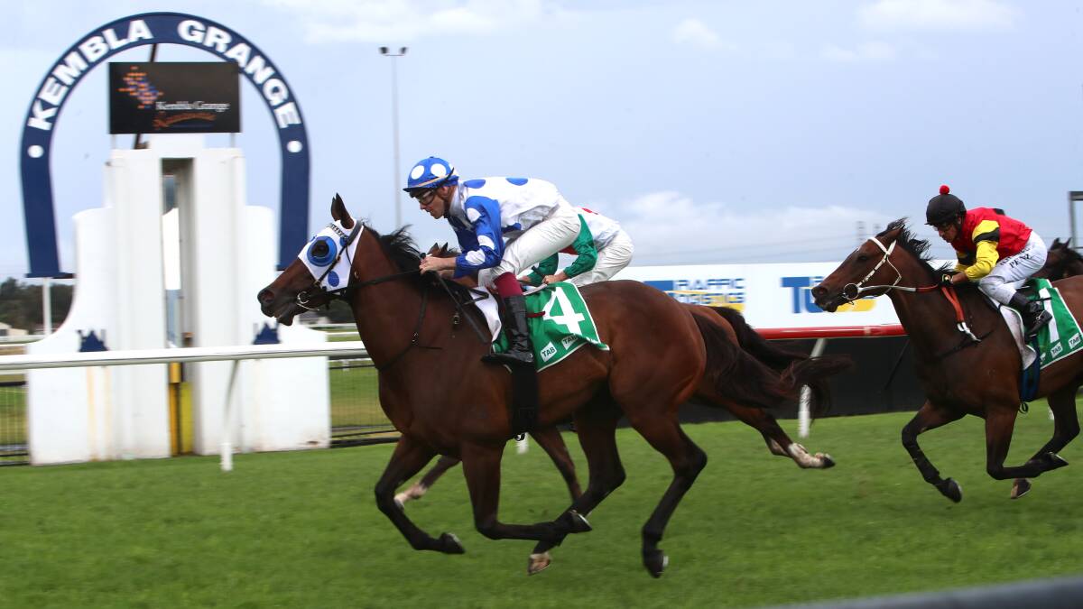 Winning run: Glamour Fox claimed her second-straight victory at Kembla Grange on Saturday. Picture: Sylvia Liber.