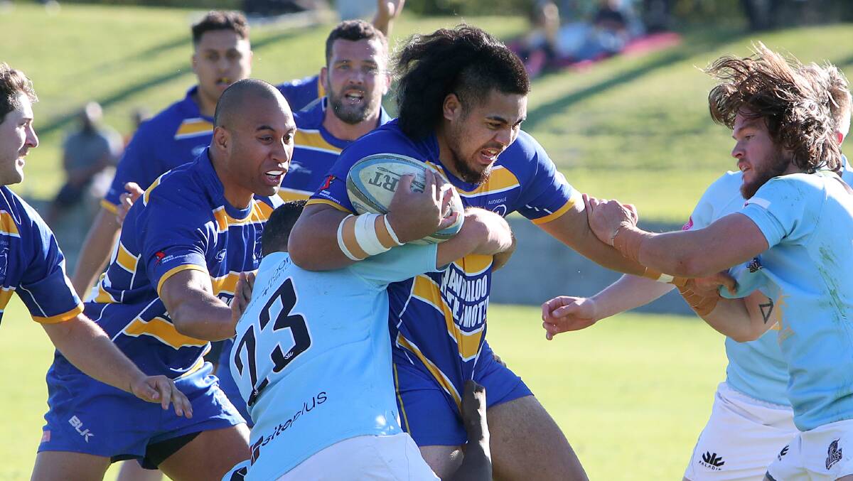 Lengthy ban: Avondale's Willy Taiti-Taanoa has been suspended for eight weeks for his role in an unsavoury incident that saw him red carded in last week's loss to Tech Tahs. Picture: Sylvia Liber