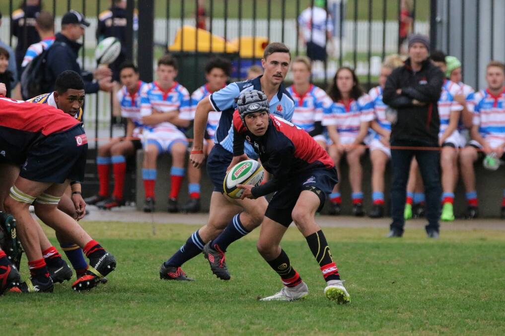 Reliable service: Illawarra under 16s halfback Cooper Hansen at the NSW State Championships. Picture: Richard Crighton.