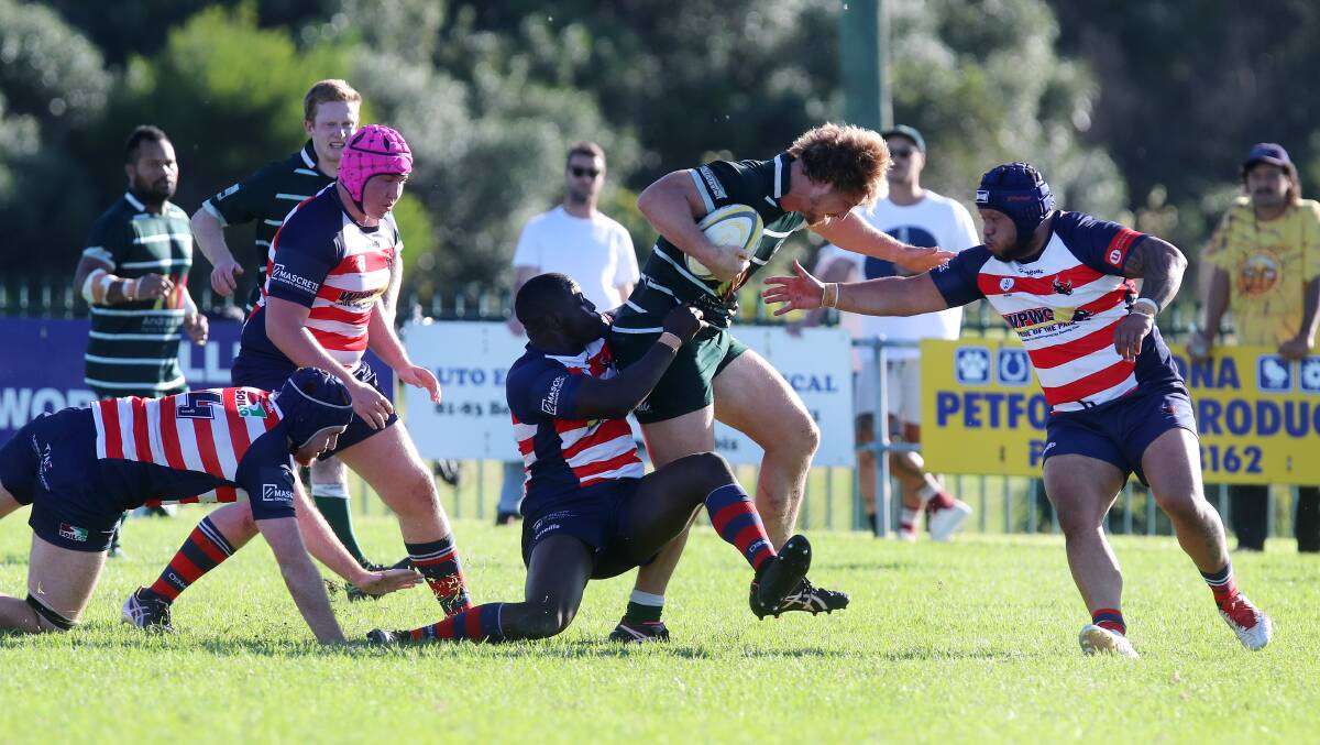 Tough to stop: Shamrocks Jesse Parahi will lead his side on a road trip to Shoalhaven on Saturday. Picture: Sylvia Liber