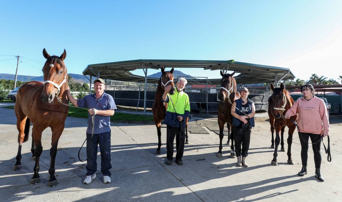 Family affair: Kerry Parker with Virgilio (left) and three of the gelding's half-siblings. Picture: Adam McLean