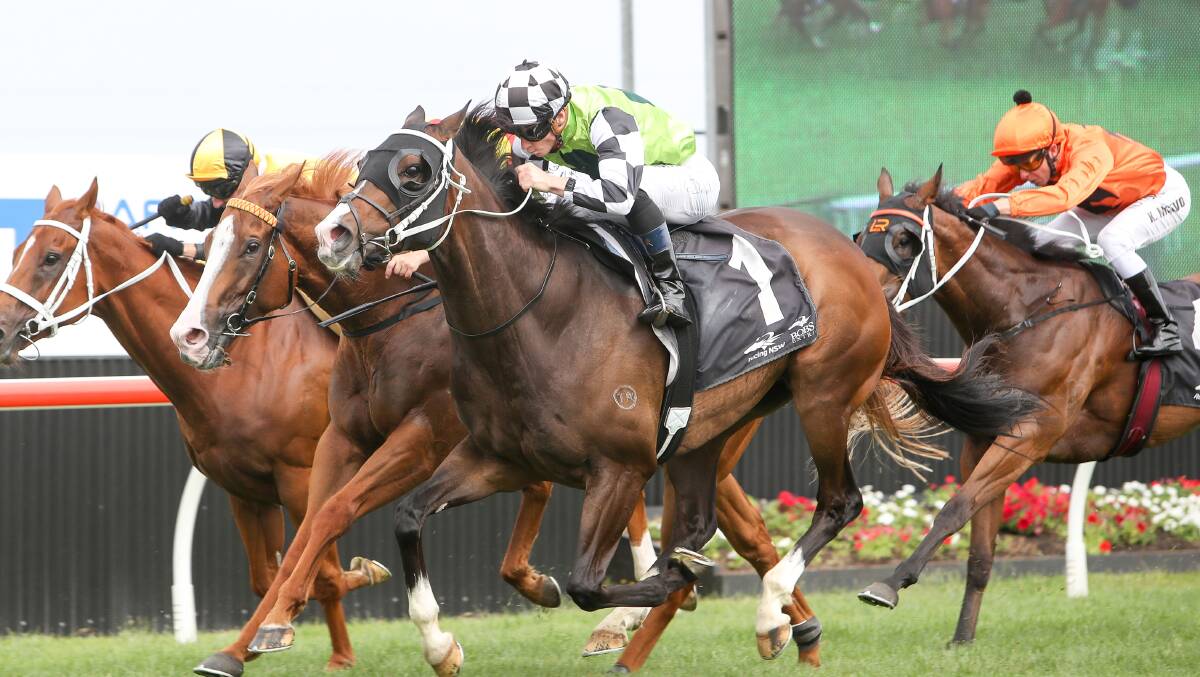 Thrilling finish: Mister Sea Wolf (outside) edges his rivals to claim the inaugural running of The Gong. Picture: Adam McLean. 