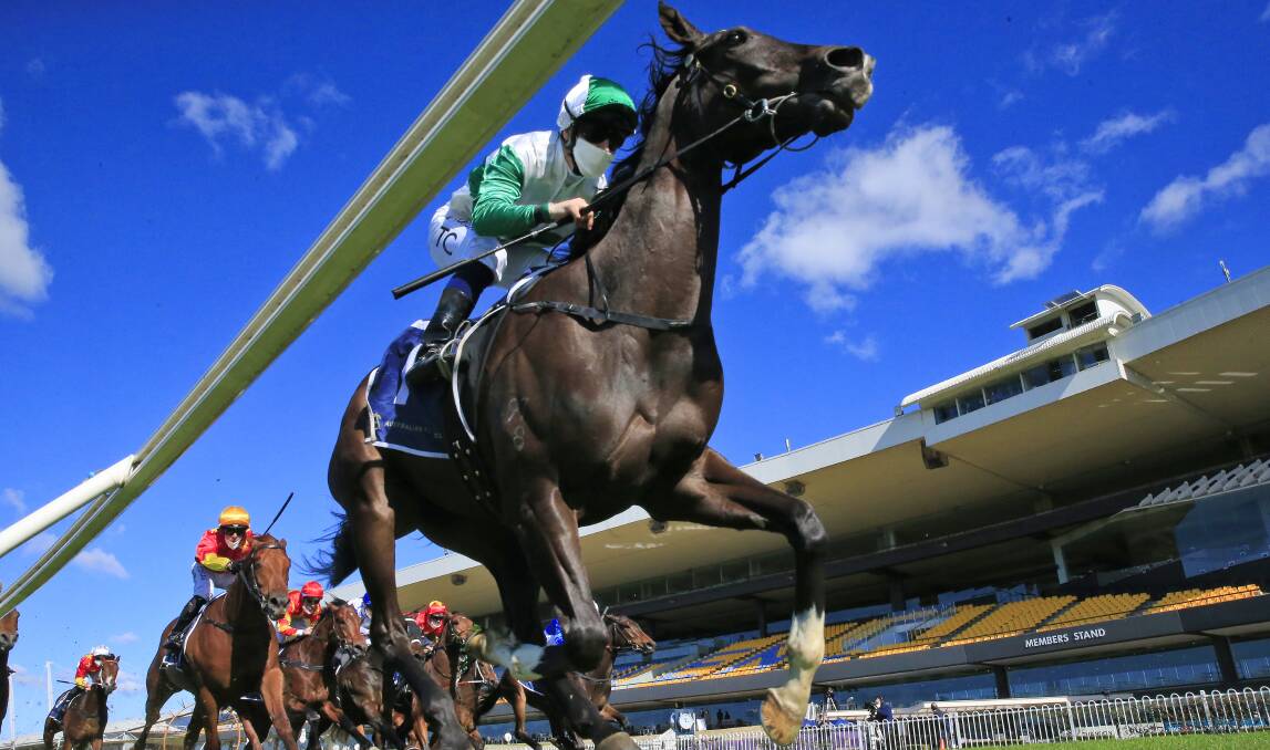 Early favourite: Undefeated Gai Waterhouse and Adrian Bott horse Silent Impact is among the runners to watch in the Up and Coming Stakes. Picture: Mark Evans/Getty Images