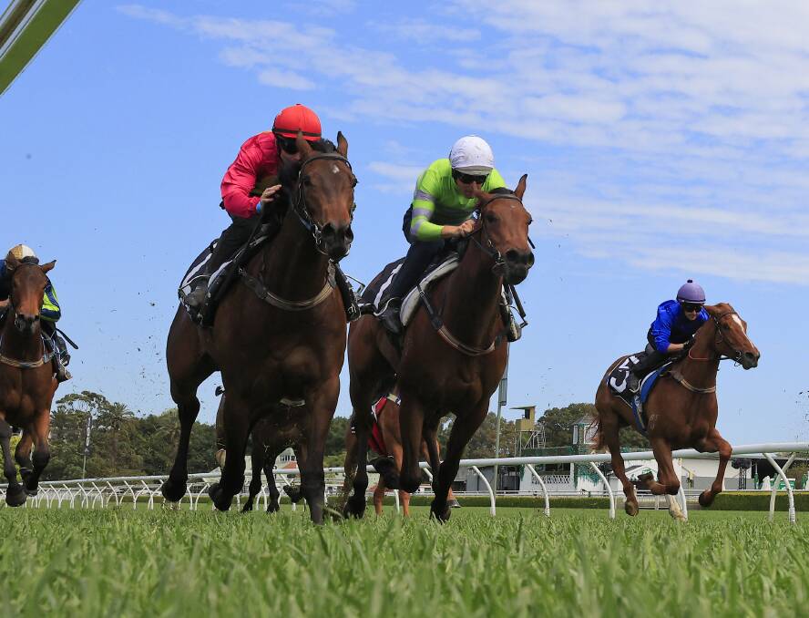 Hitting top speed: Authentic Jewel (green silks) could break her maiden at Kembla Grange. Picture: Getty Images