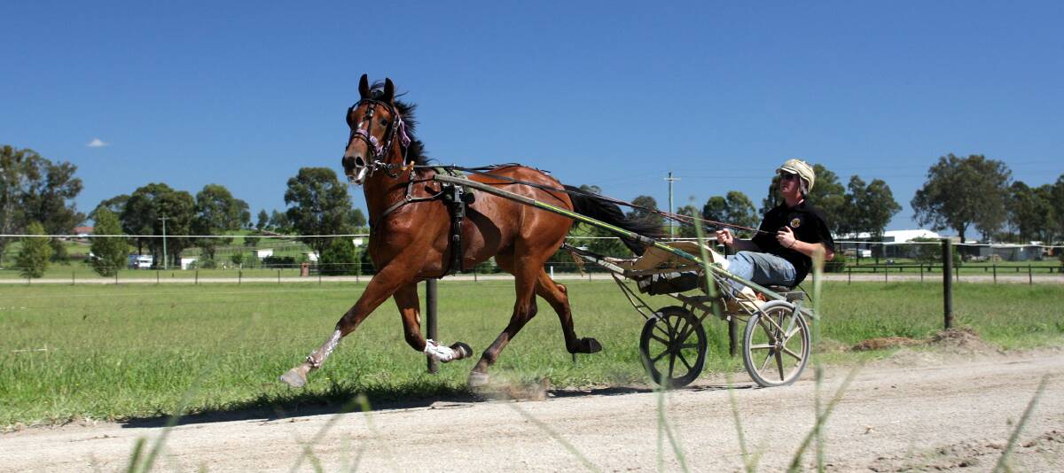 Transition: A harness racing veteran, trainer and driver Blake Fitzpatrick has set up a thoroughbred stable and he's eyeing a city victory on Saturday. Picture: Adam McLean