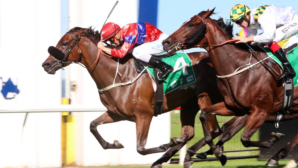 Winning racehorse: Miss Jenny hits the front at Kembla Grange last year. Picture: Sylvia Liber