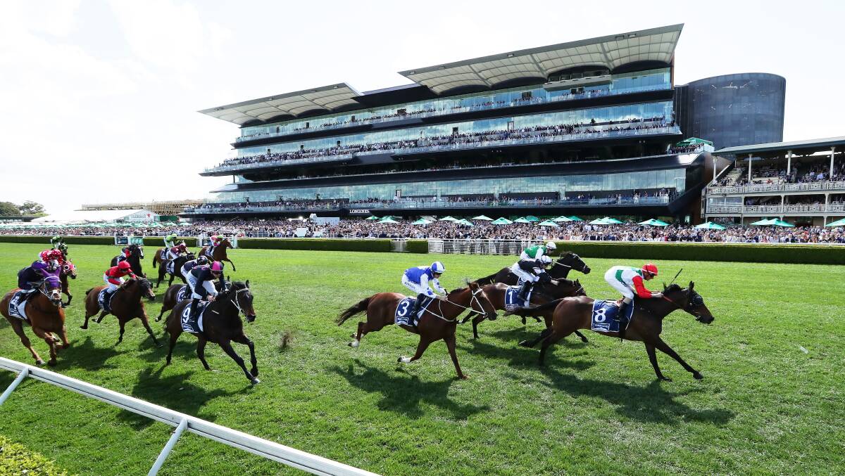 Victory: Handle The Truth delivered a Shellharbour punters club a significant windfall when he took out the 2019 Kosciuszko. Picture: Matt King/Getty Images