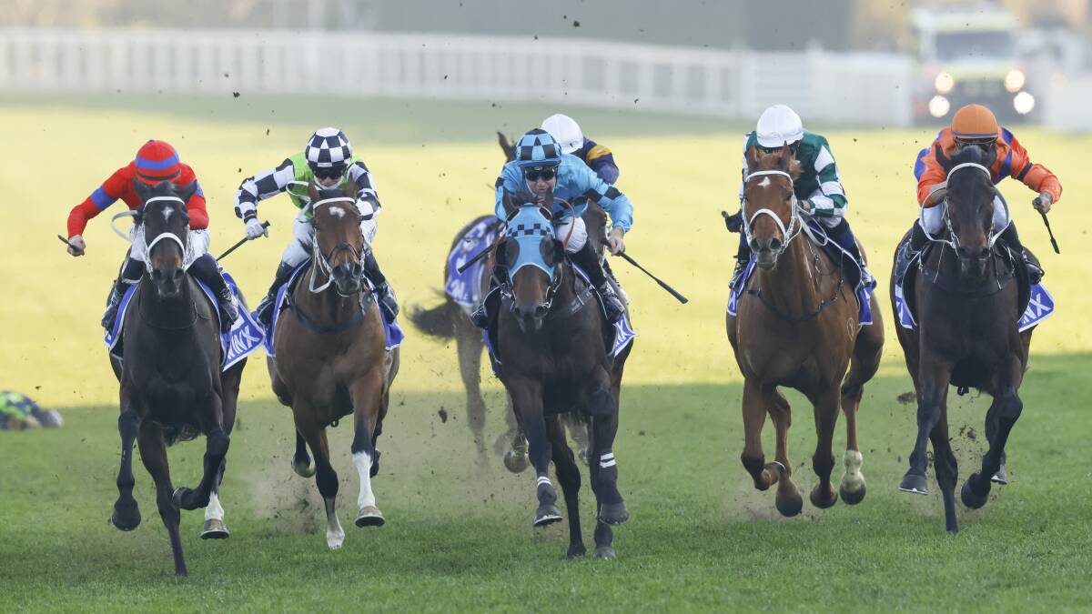 In the frame: Think It Over (far right) fights on as Mo'unga (centre) takes out the Group 1 Winx Stakes. Picture: Mark Evans/Getty Images