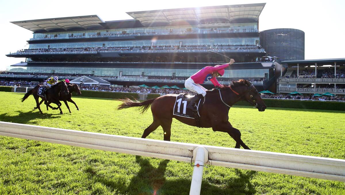 Staying power: Angel of Truth is set for a Caulfield Cup run. Picture: Getty Images.
