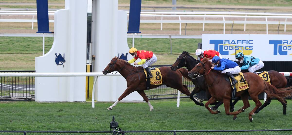In the clear: In The Congo takes out the Group 3 San Domenico Stakes at Kembla Grange on Saturday. Picture: Robert Peet