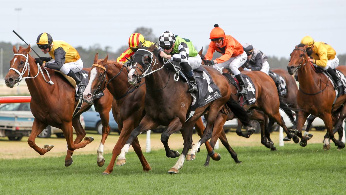 Pipped at the post: Quackerjack (centre) is edged by Mister Sea Wolf (right) in the inaugural running of The Gong. Picture: Adam McLean