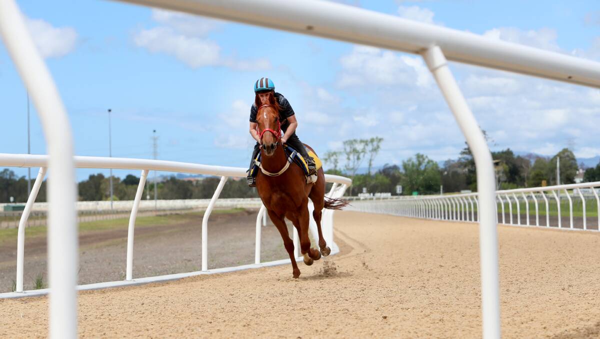 Saviour: The Kembla Grange Polytrack has enabled trainers to continue working horses despite this week's rain. Picture: Sylvia Liber.