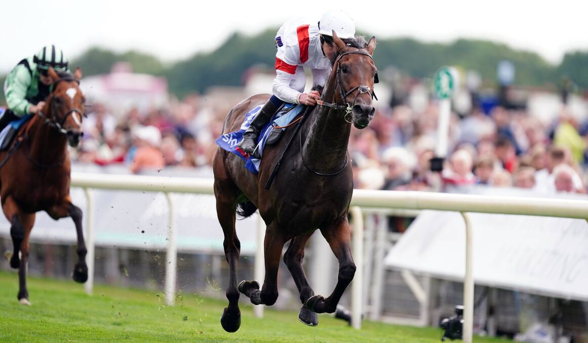 European raider Deauville Legend is the clear Melbourne Cup favourite. Picture Getty Images