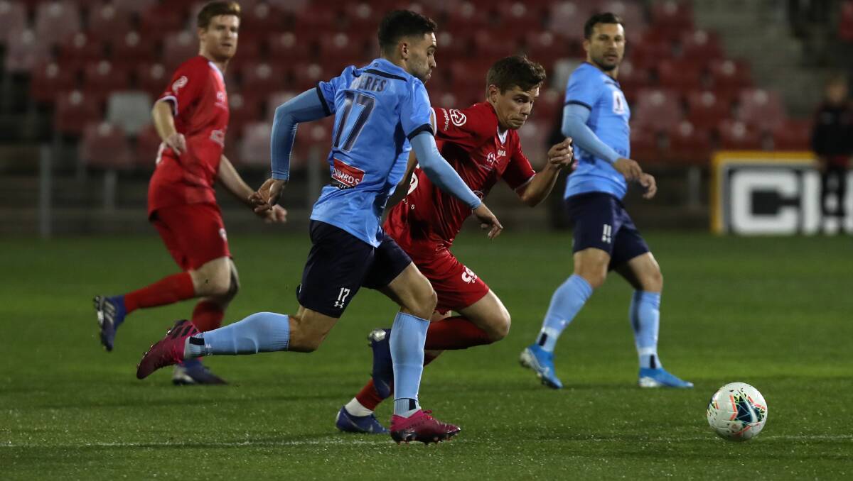 National pursuit: The Wolves hope to join Sydney FC in the A-League in the coming years. Picture: Sylvia Liber.