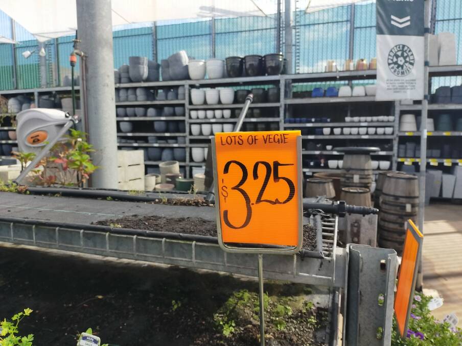 Growth in sales: Bunnings has been selling more vegetable seedlings and edible plants as more people become self-sustainable. 