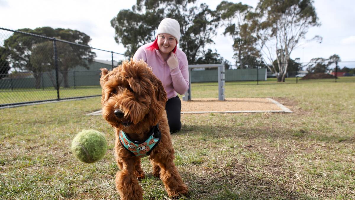 Unleashed: Four-legged friends run free at Dapto's new puppy playground